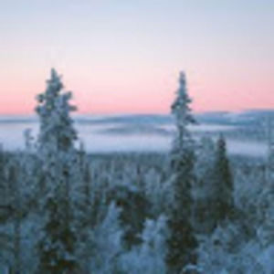 Meet your Posher, Paul